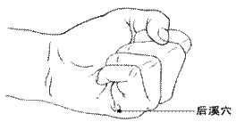 clip后溪穴001
